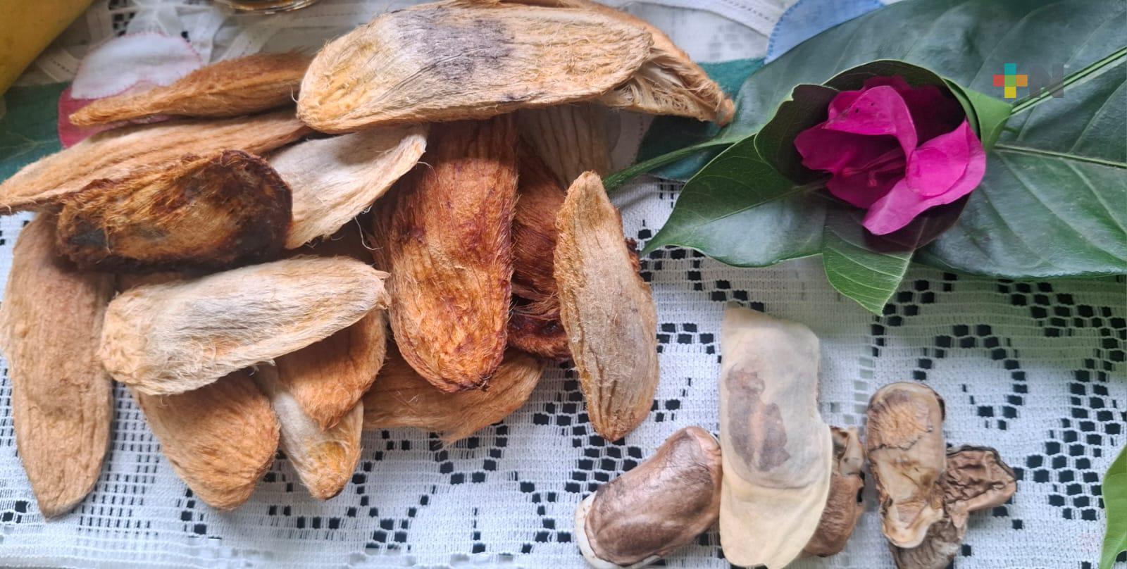 Artesanas de Actopan impulsan el uso medicinal del mango