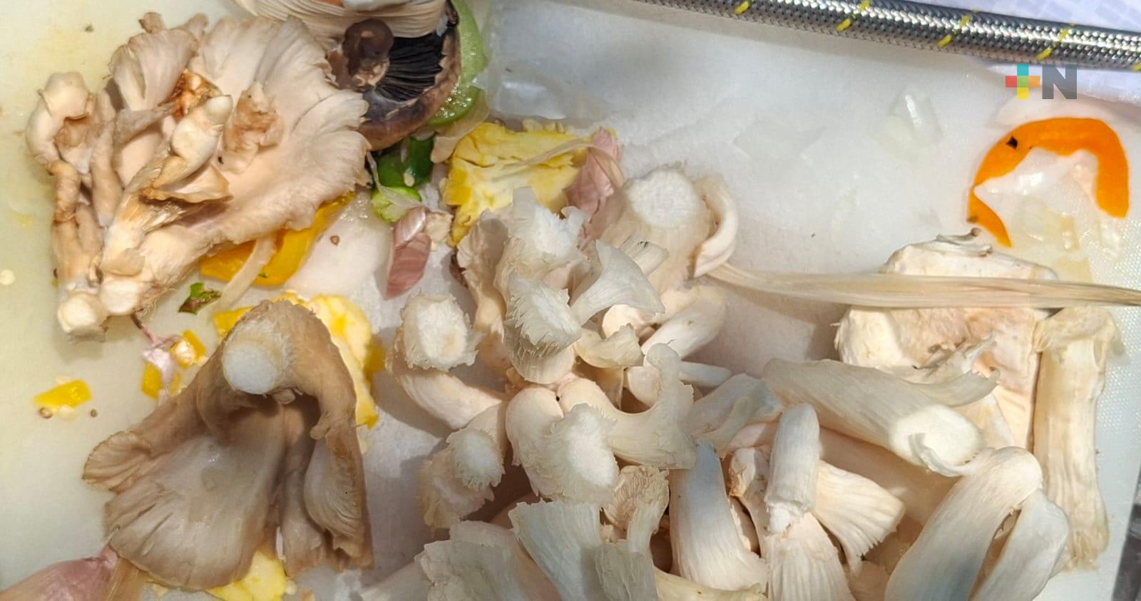 Hongos mexicanos, un alimento que sustituye a la carne