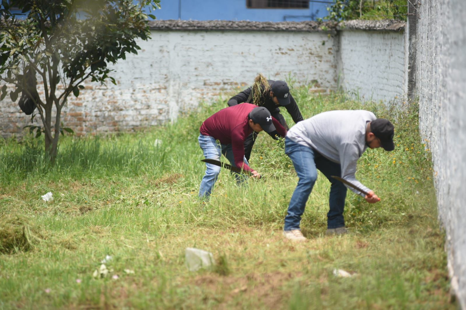 Realiza SEV tequio en primaria Carlos A. Carrillo de Xalapa