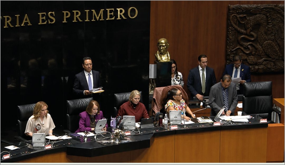 ¡Aprobado! Habrá Comisión Verificadora de Candidaturas