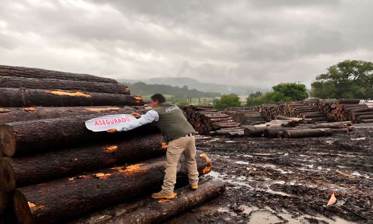 Autoridades refrendan alianza para frenar la deforestación ilegal en México