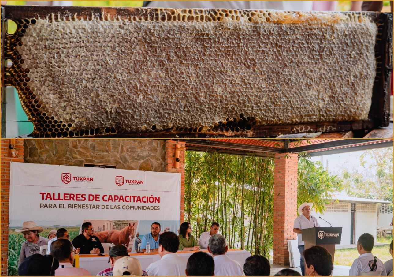 Apicultores de Tuxpan son capacitados ante efectos en el ecosistema