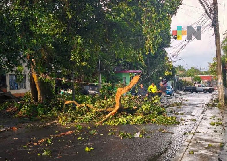 Tormenta con viento y granizo en región centro del estado de Veracruz