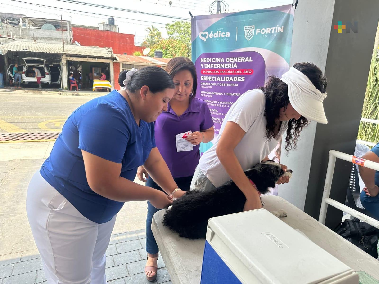 Iniciará semana de vacunación antirrábica en Córdoba