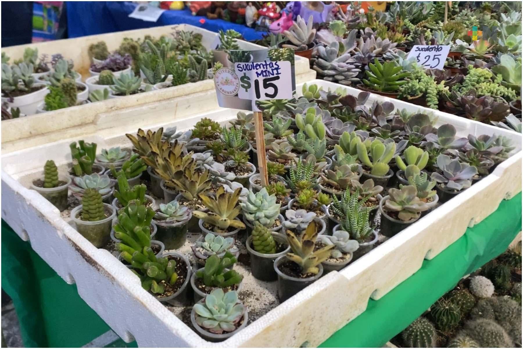 Artesanas y floricultoras ofrecen una alternativa sustentable para este 10 de mayo