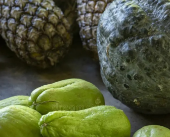 Agricultura advierte sobre volatilidad en precios de chayote y piña en Veracruz