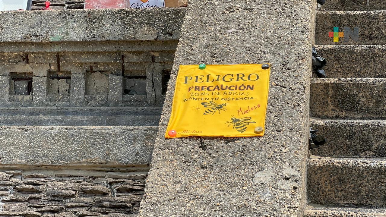 Clausuran acceso a pirámide por enjambre de abejas en Coatzacoalcos
