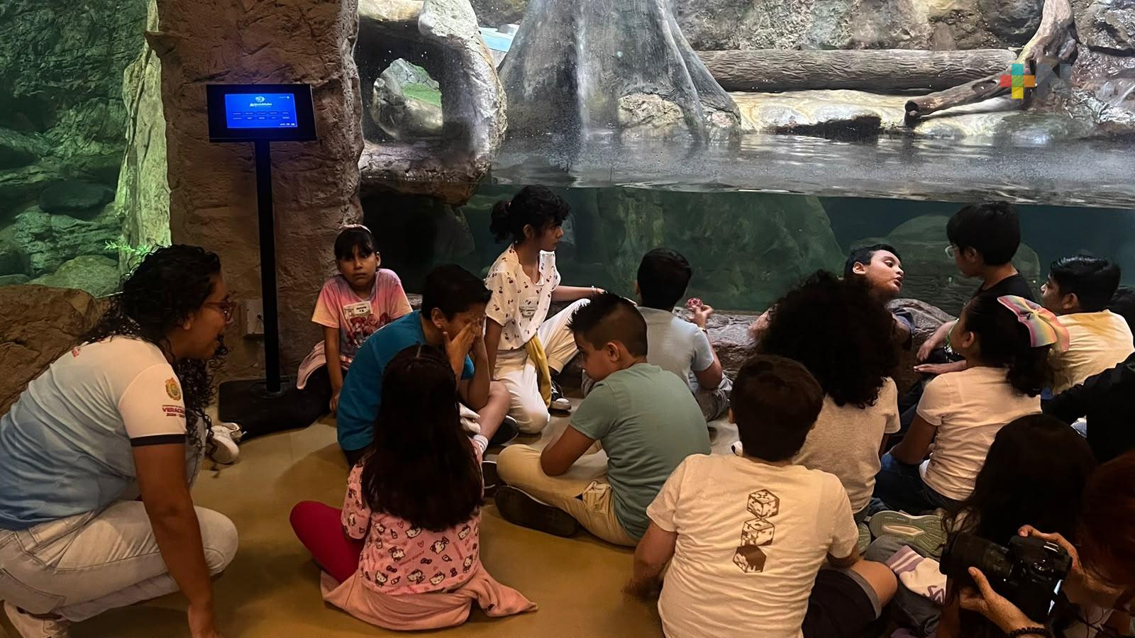 Aquarium de Veracruz promueve cuidado de las nutrias en niñas y niños