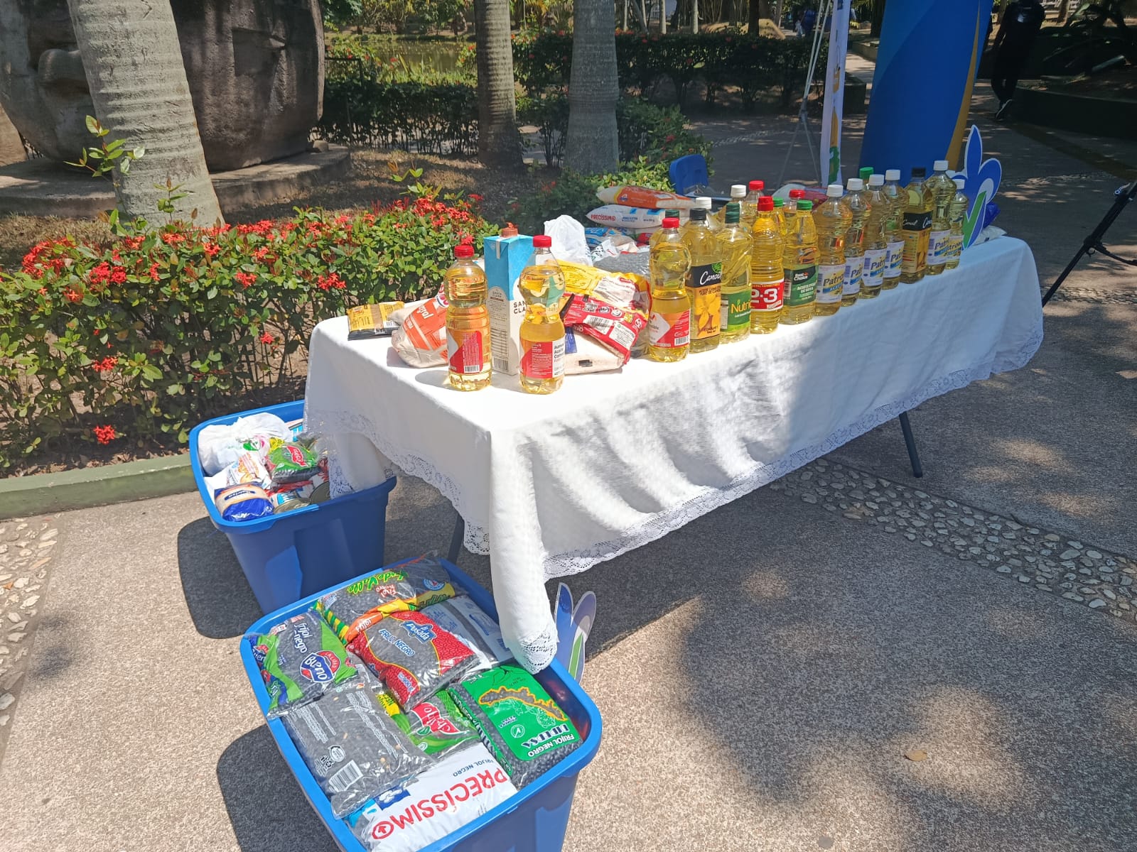 Universitarios de Coatza hacen acopio de alimentos para personas en situación vulnerable