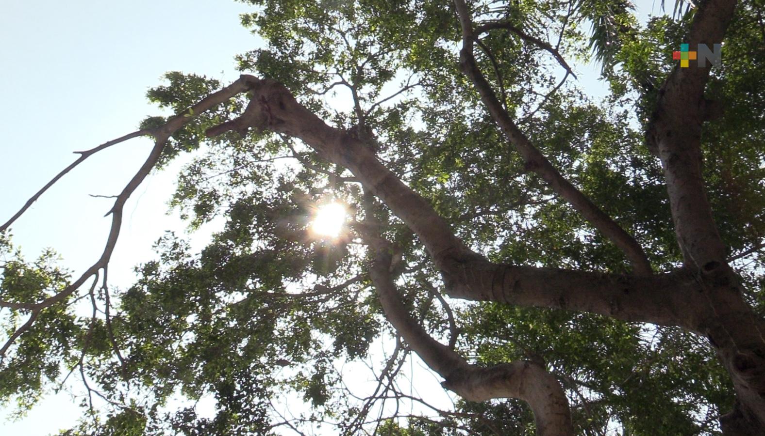 Ciudadanía refuerza diversas medidas para mitigar efectos del calor