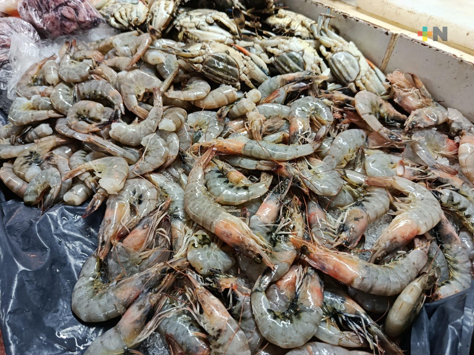 Inició la veda de camarón en zonas del Golfo de México