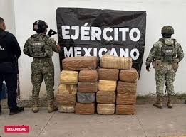 Golpe al narcotráfico: Guardia Nacional localiza puntos de trasiego