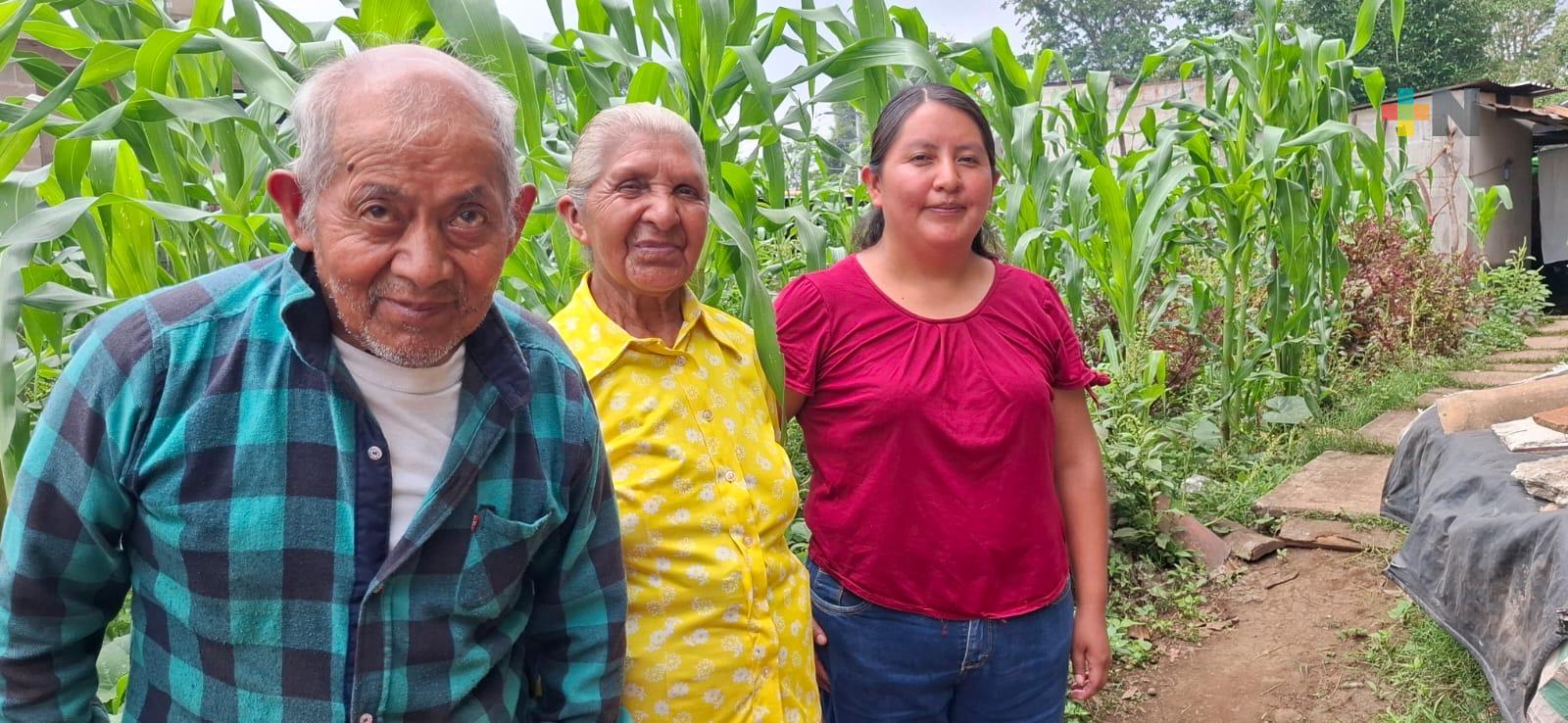 La milpa, raíz de la alimentación y cultura en México