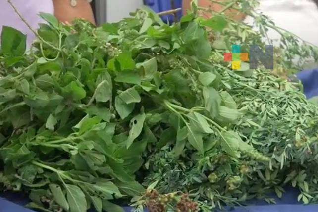 Medicina tradicional en la sierra de Zongolica combina saberes y herbolaria