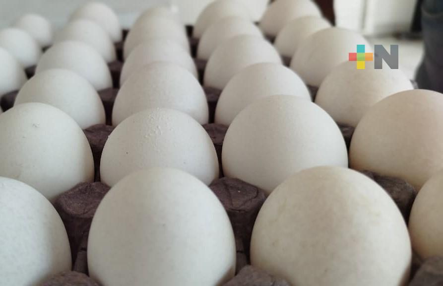 Importación de alimentos en México es regulada por tres dependencias
