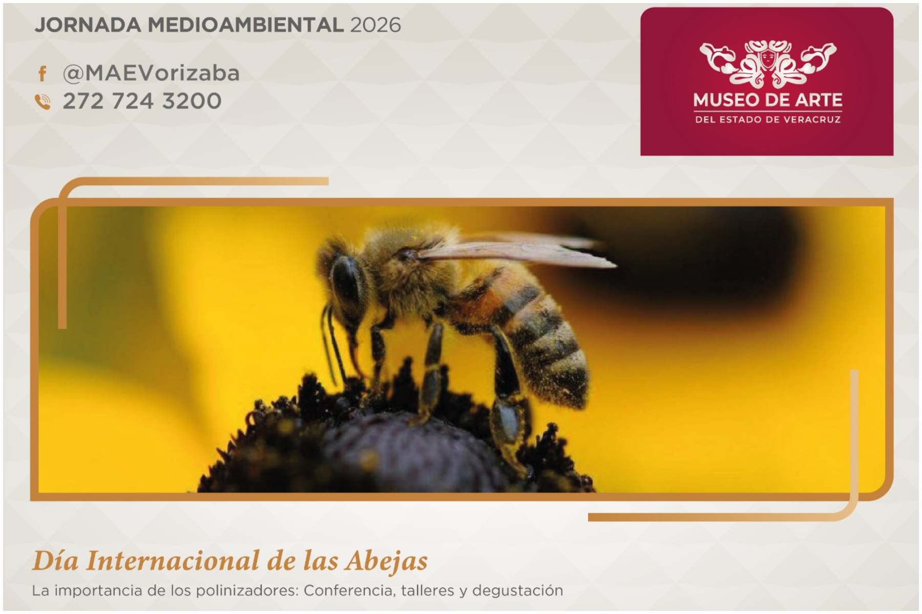 Invita Secver a jornadas medioambientales en el MAEV