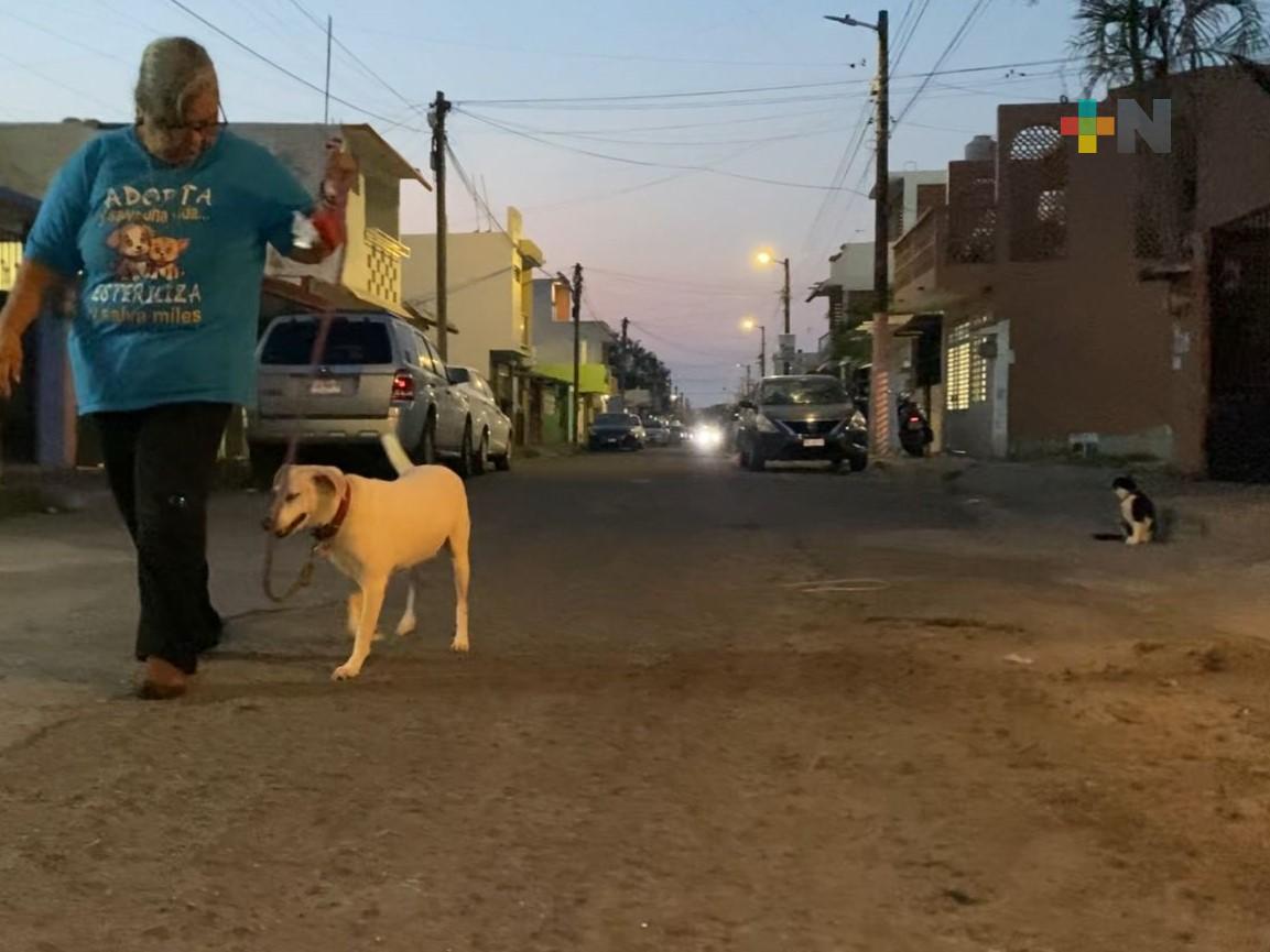 Adoptar a un animal rescatado implica paciencia, amor y comprensión