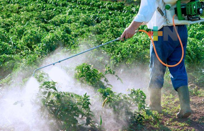En Veracruz impulsan uso responsable de agroquímicos y fertilizantes