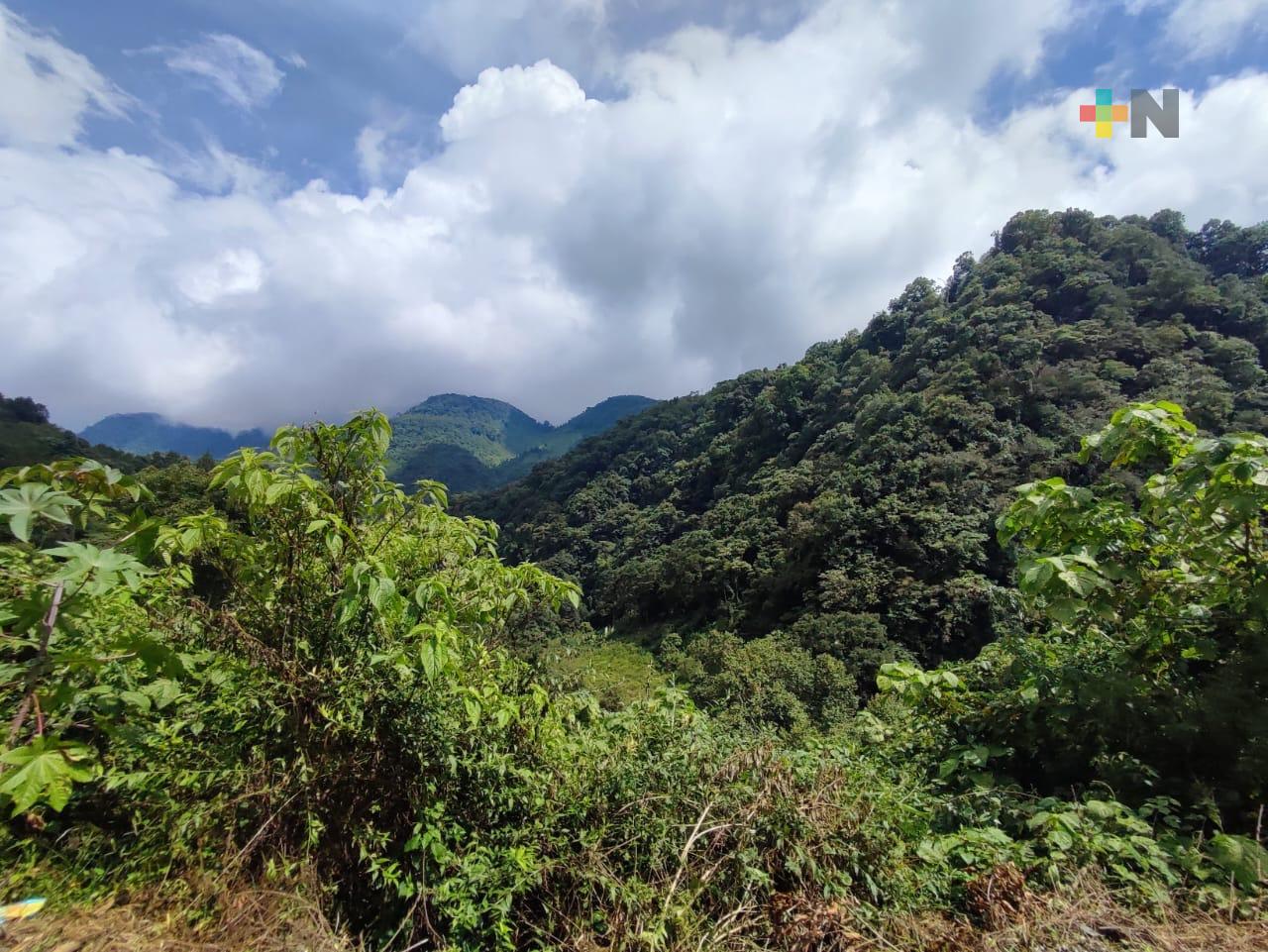 Fortín conmemora 13 años del Metlac–Río Blanco