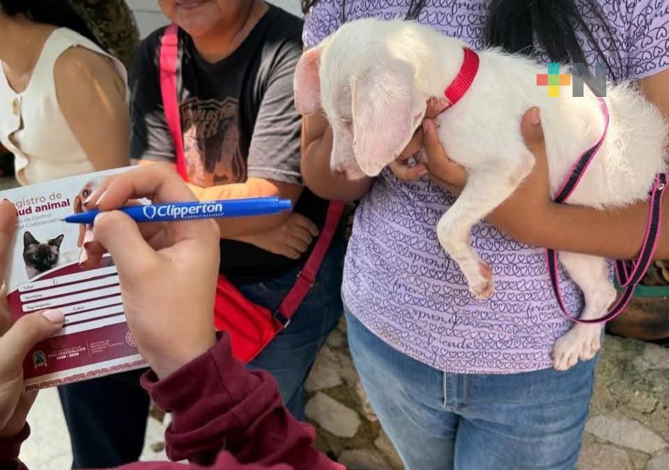 Feria de adopción logra que 15 perros abandonen las calles de Coatzacoalcos