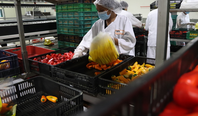 Agricultura se une a los esfuerzos del Día Mundial de la Inocuidad de los Alimentos 2026
