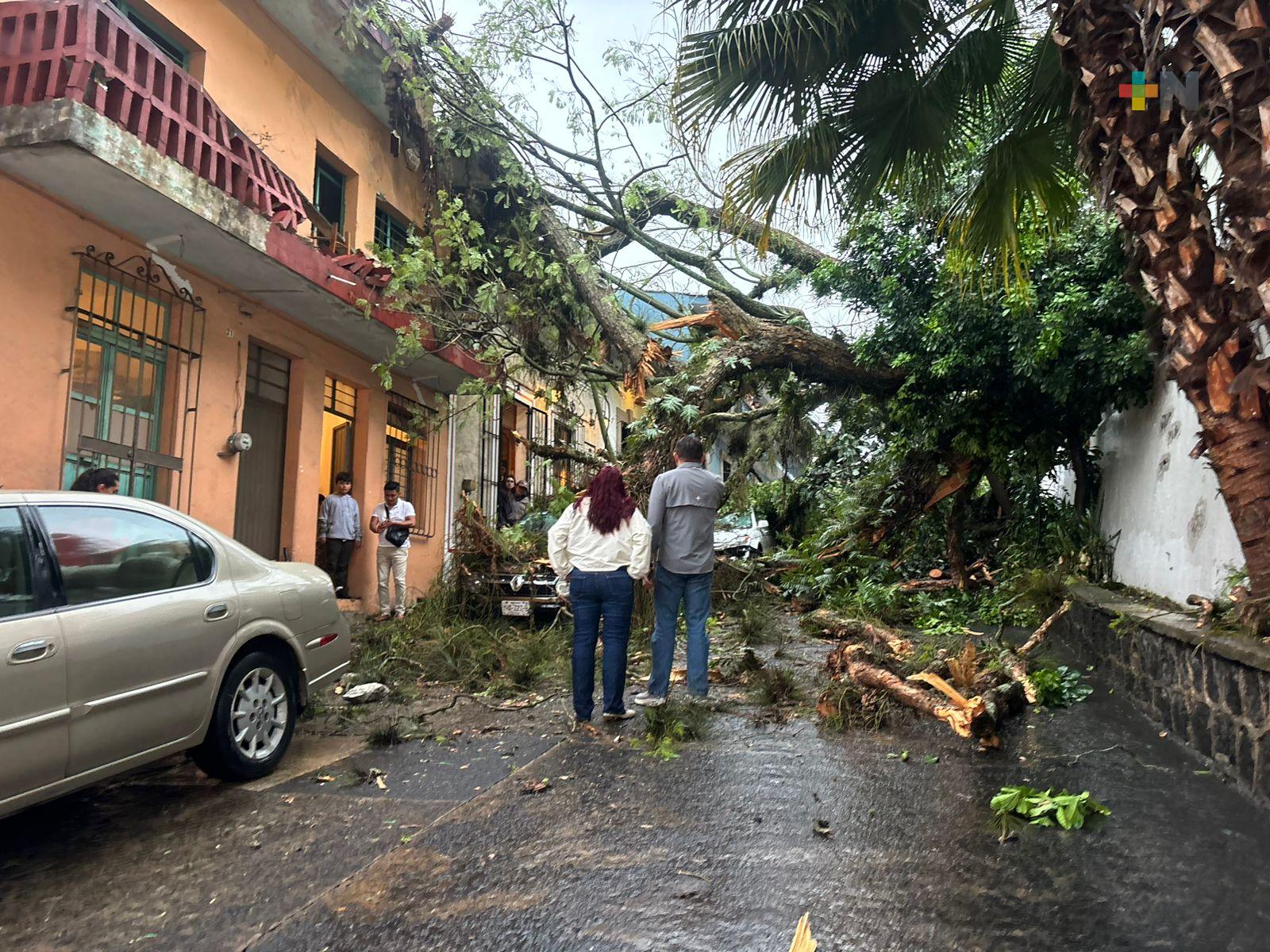 Fuertes lluvias provocan daños materiales en Xalapa