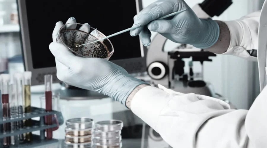Día Internacional del Biotecnólogo