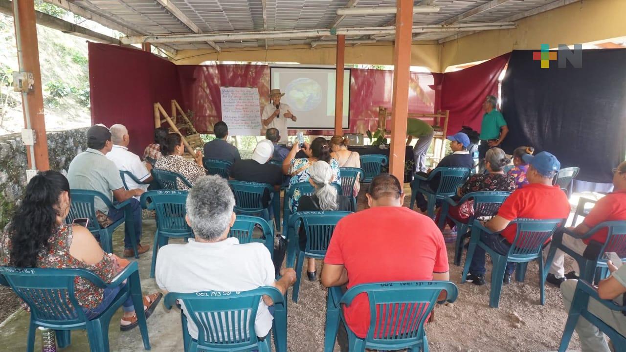 Cafeticultores de la sierra de Córdoba implementan estrategias para evitar avance de plagas en el café