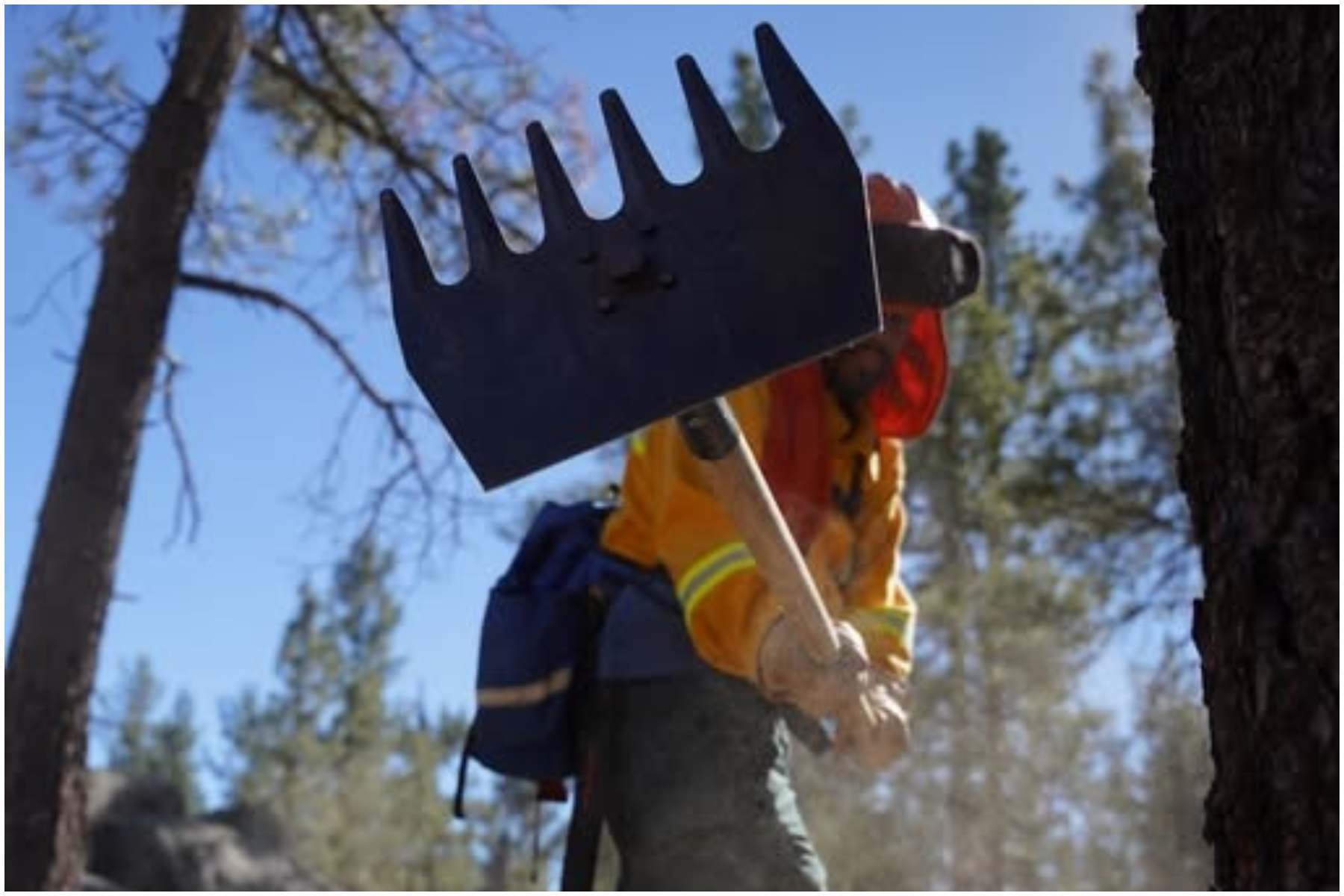 Conafor emite acuerdo para movilización internacional de combatientes de incendios forestales