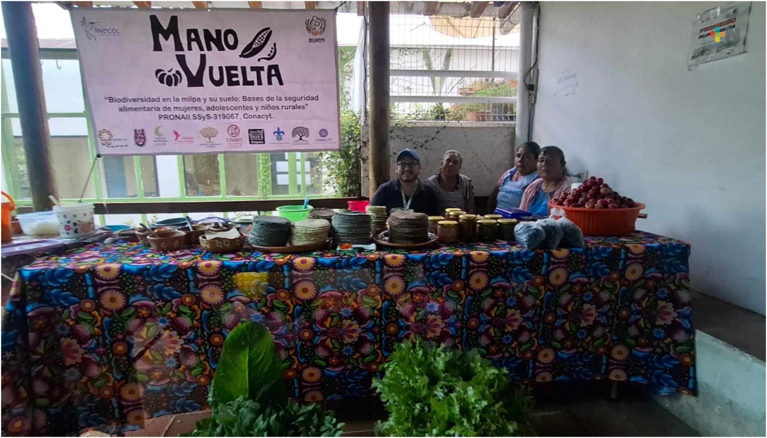 Con abonos naturales, productoras mejoran calidad de sus cosechas