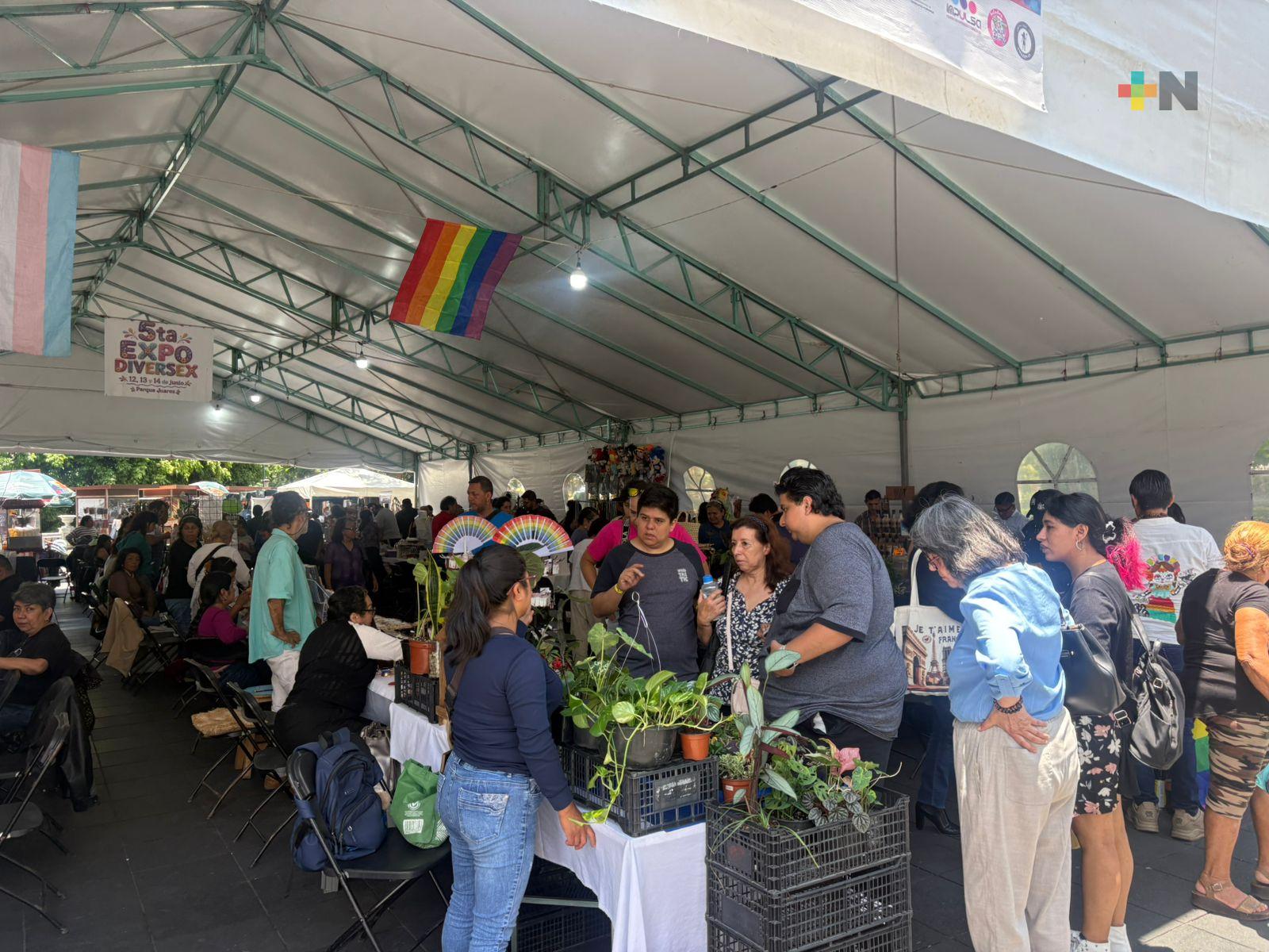 Expo Diversex reúne a más de 60 emprendedores y artesanos en Xalapa