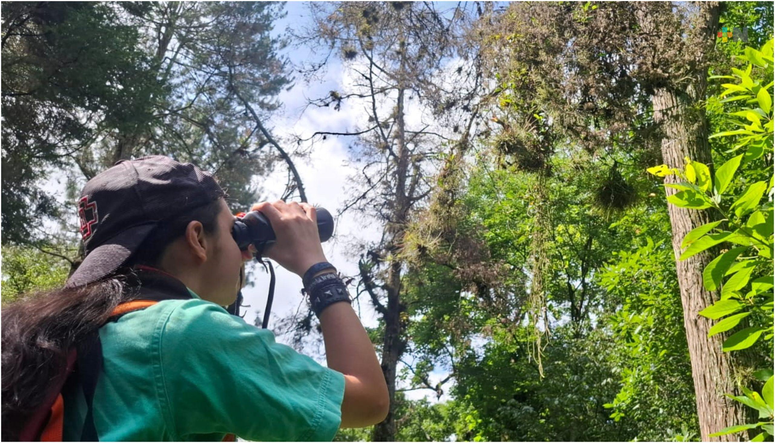 Jardín botánico, semillero en educación ambiental de niños y adolescentes de Veracruz   