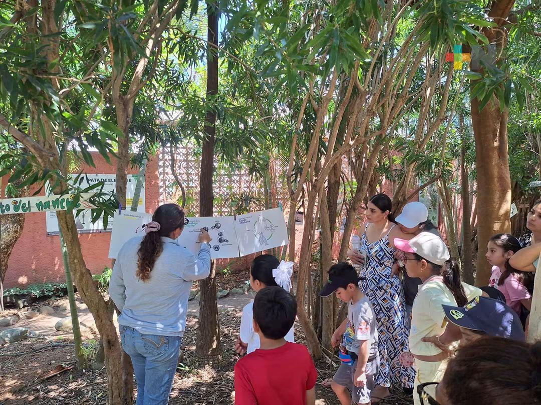 Invitan a niñas y niños de Coatzacoalcos a participar en taller de dibujo sobre especies forestales