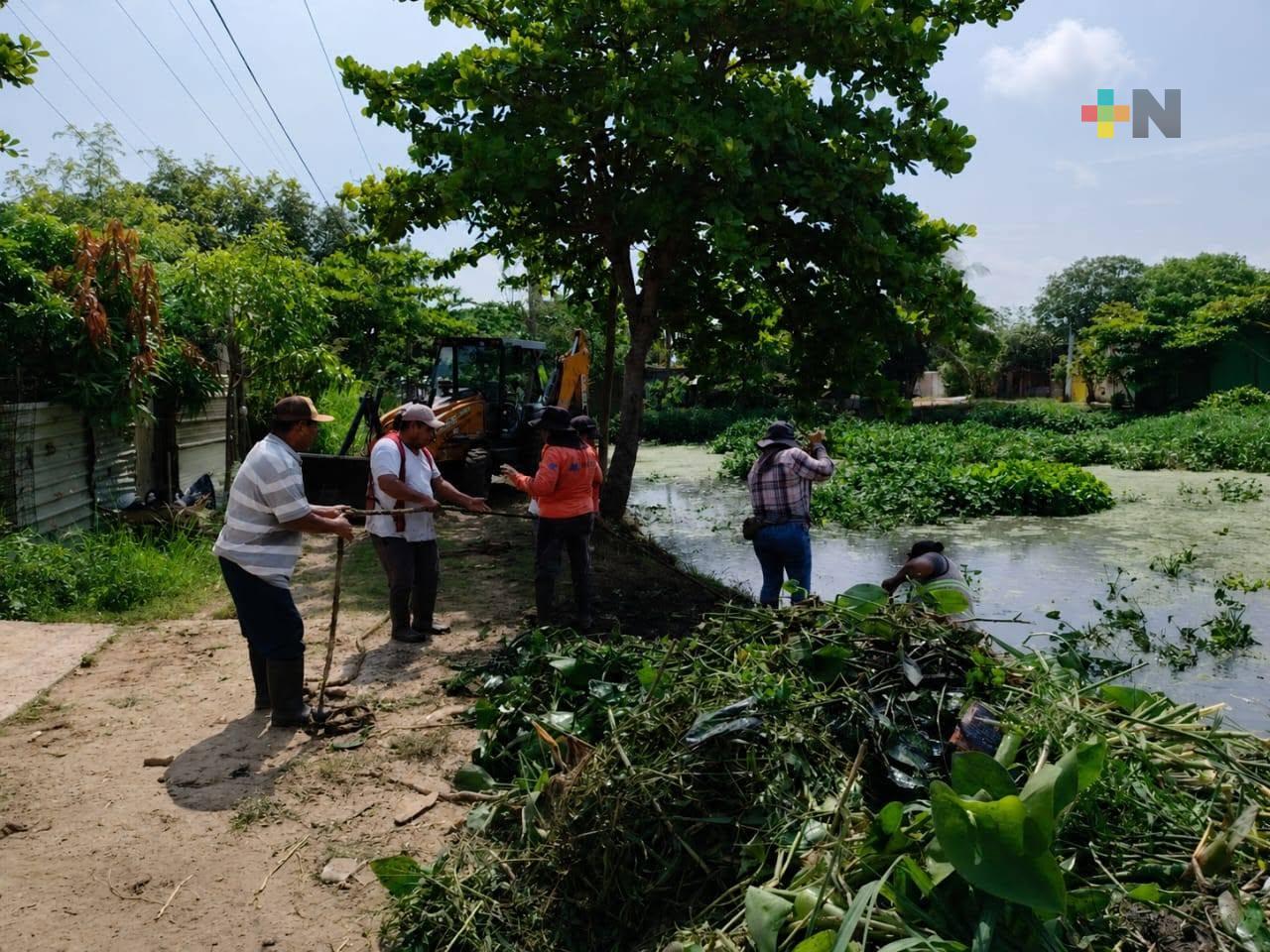 En Coatzacoalcos, Centro Municipal de Compostaje ofrece soluciones para reciclar residuos verdes