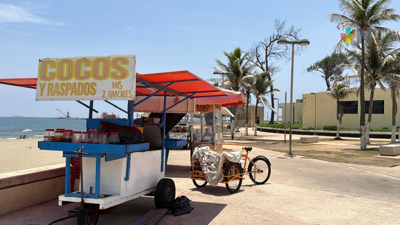 Rehabilitan escolleras de Coatzacoalcos; ASIPONA coloca nuevos tetrápodos