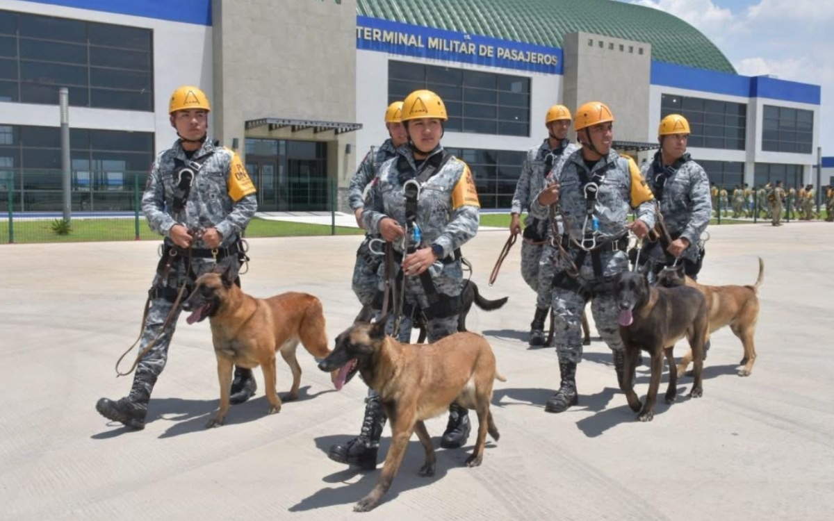 Los héroes de cuatro patas en Venezuela