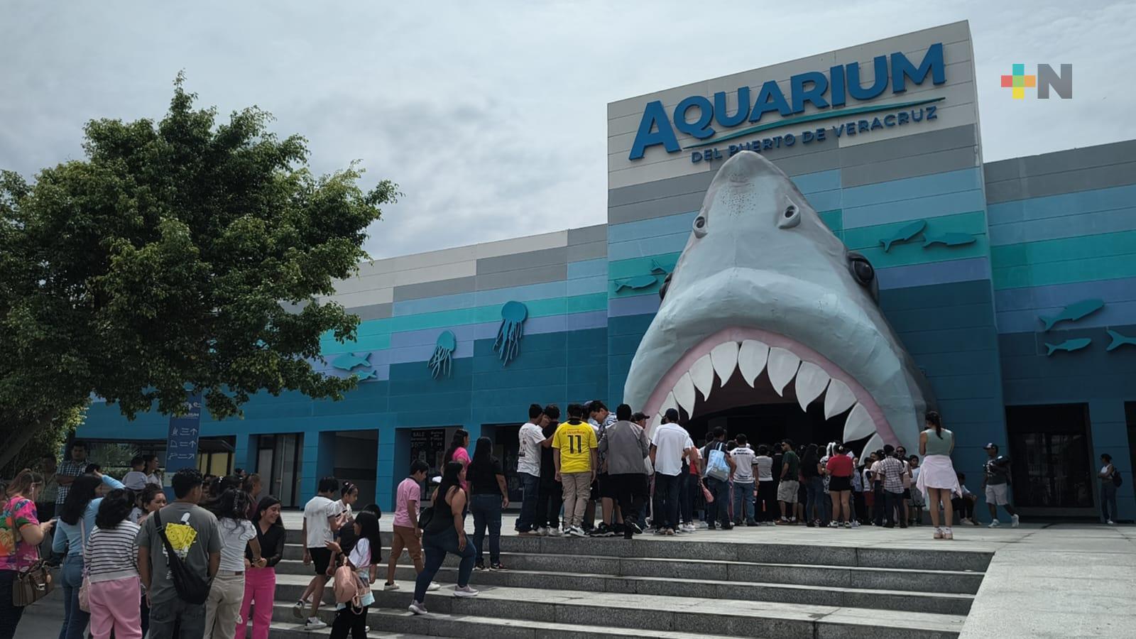 Estudiantes festejan conclusión de estudios en Aquarium del Puerto de Veracruz