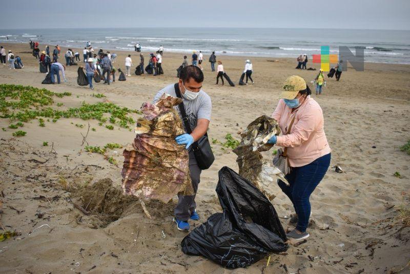 Lluvias arrastran basura de las calles al mar en Coatzacoalcos
