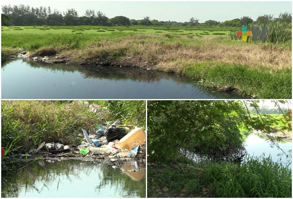 Solicitan desazolve de laguna Lagartos de Veracruz