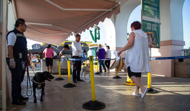 Senasica refuerza inspección a más de 5 millones de turistas que visitan México durante Mundial