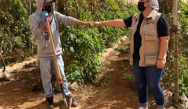 INEA fortalece atención a personas jornaleras agrícolas; 958 reciben servicios educativos en el país: SEP