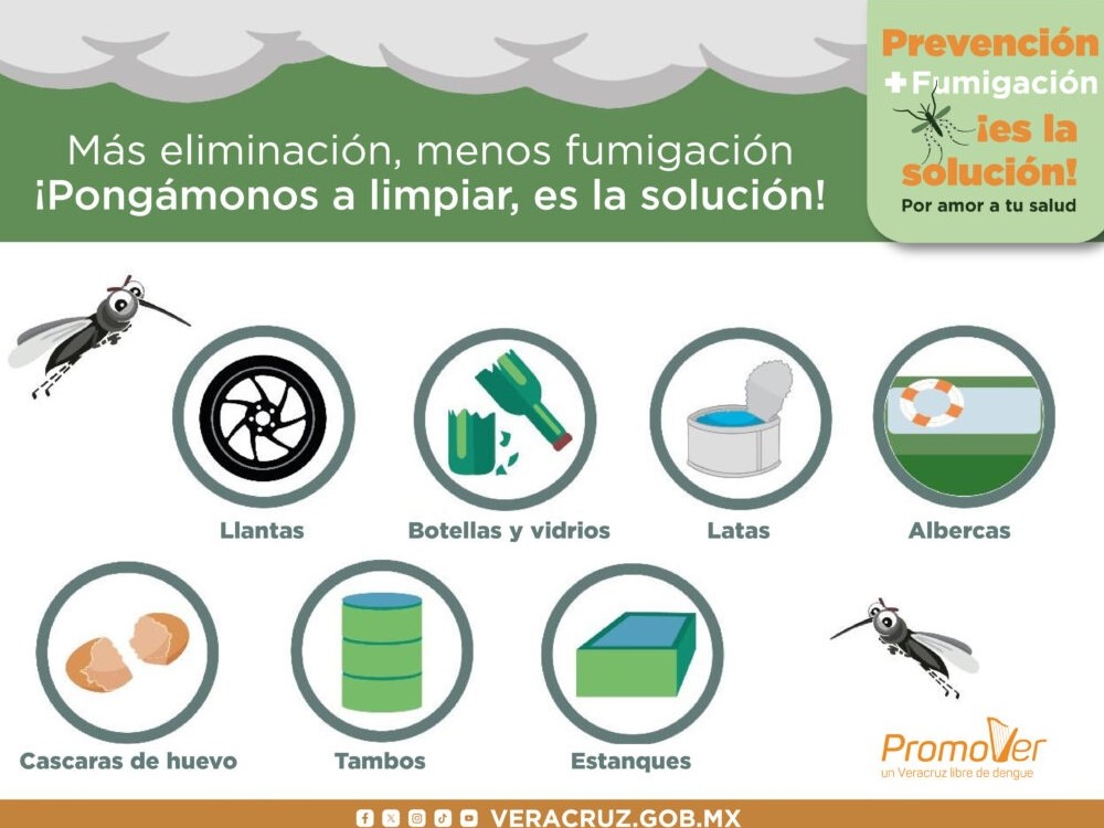 Llaman a eliminar criaderos de mosquitos para prevenir dengue, chikungunya y zika