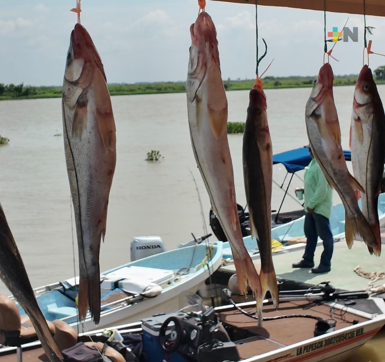 Realizan el Torneo de Pesca de Robalo Tlacotalpan 2026