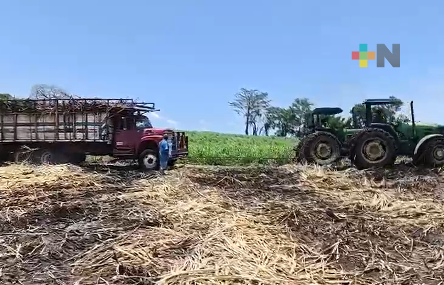 Lluvias frenan zafra en la cuenca de Papaloapan
