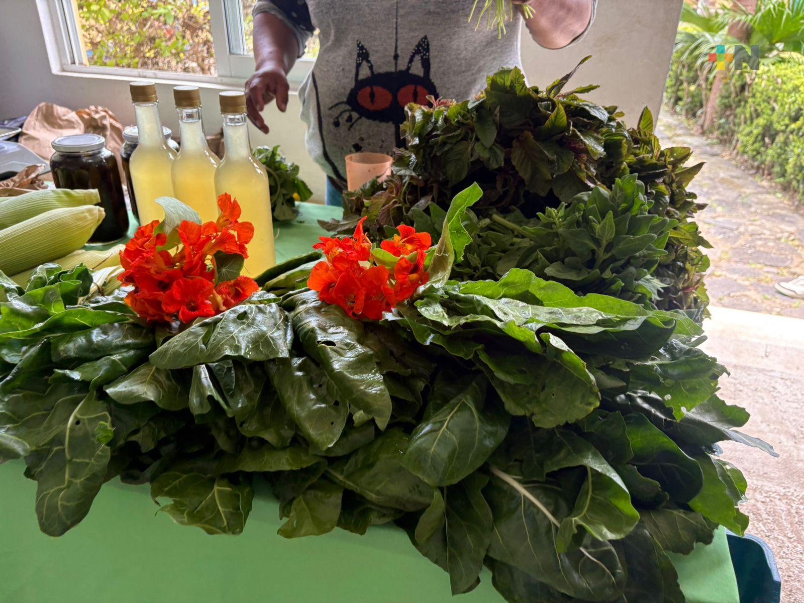 Alimentación saludable fortalece las defensas ante efectos del cambio climático