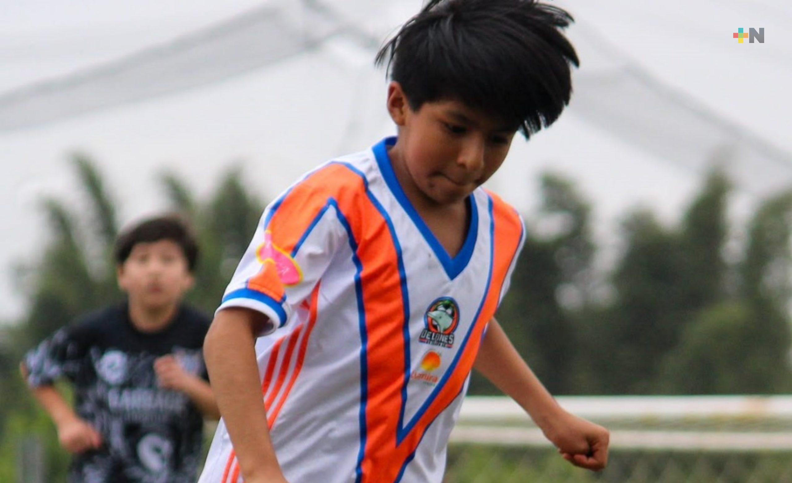 Delfines de Xalapa a Copa Franja de Futbol