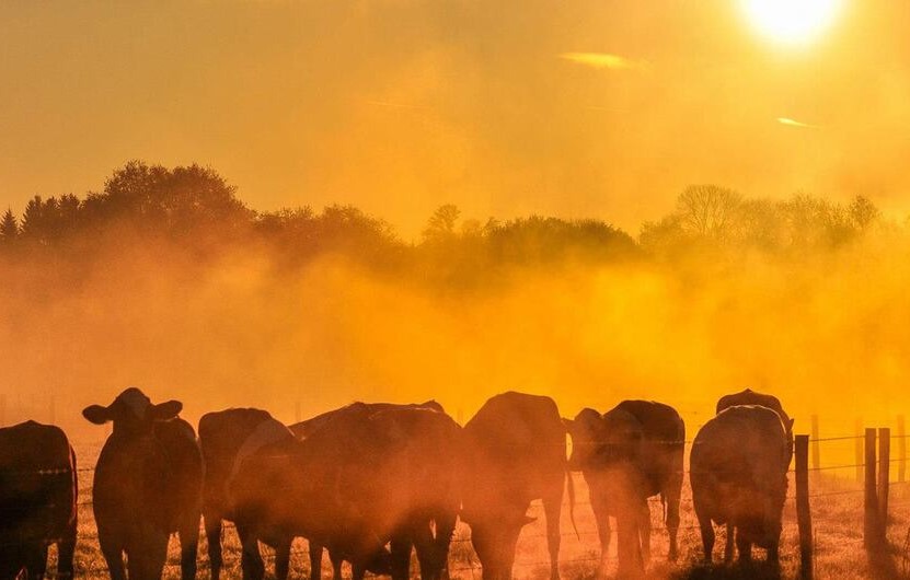 El Niño se fortalece y eleva el riesgo de calor extremo y sequías en América Latina