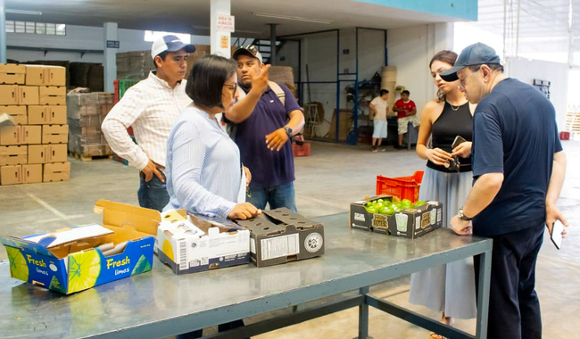 Sembradoras y sembradores de Papantla, Veracruz, logran primera exportación de limón persa a Rusia