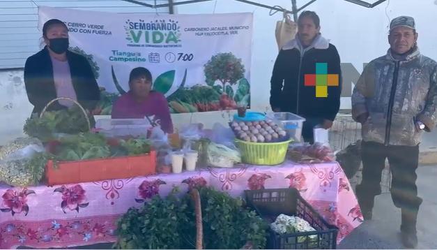 Sembrando Vida impulsa la producción sustentable en Huayacocotla