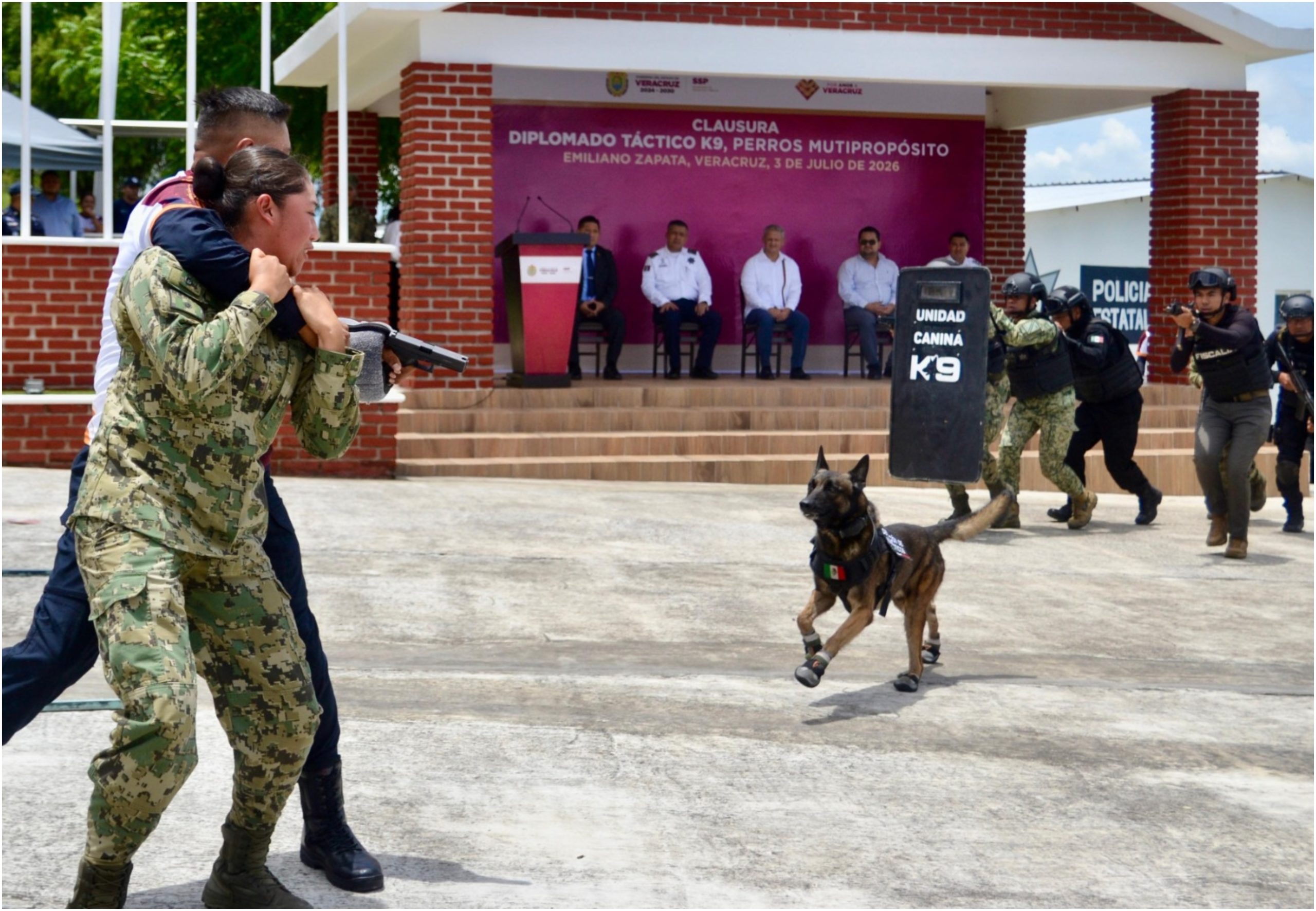 Veracruz referente nacional en capacitación K9, concluye 5.° diplomado táctico especializado